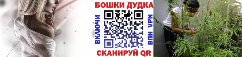 Где продают наркотики Михайловск Гашиш  Кокаин  Псилоцибиновые грибы  МЕТАМФЕТАМИН  Мефедрон  МАРИХУАНА 