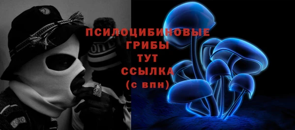 хмурый Алзамай