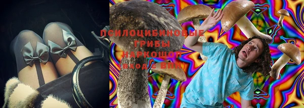 mdma Няндома