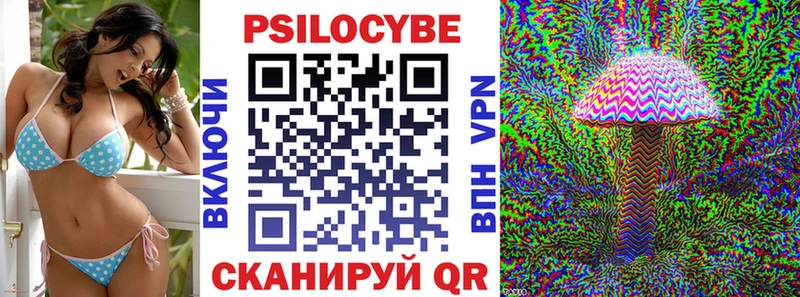 Галлюциногенные грибы Cubensis  маркетплейс какой сайт  Михайловск  где купить наркоту 